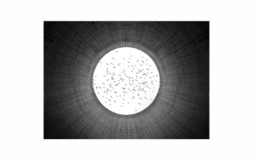 Second Prize: Brett Leigh Dicks, 'Birds & Cooling Tower, Satsop Nuclear Power Plant, Elma, Washington.'